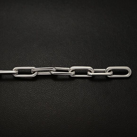Cartier Santos Dumont Bracelet /18K White Gold/750-19.9g/white Gold /next Day - Picture 8 of 10